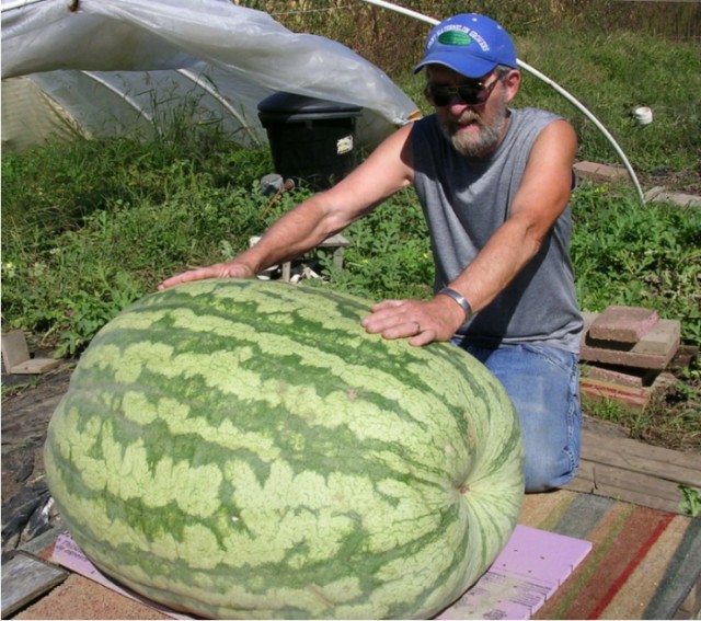 Про грузчиков