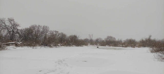 Зимняя рыбалка. Открытие
