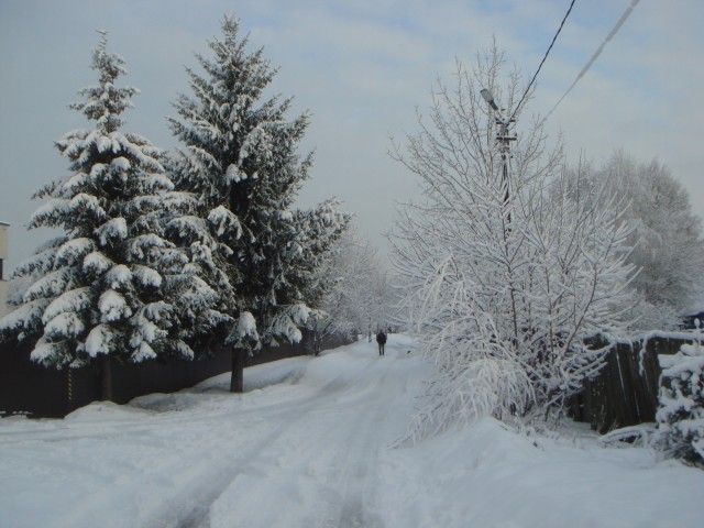Зимняя красота
