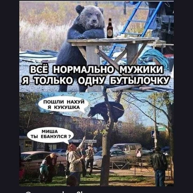 Юмор в картинках и без