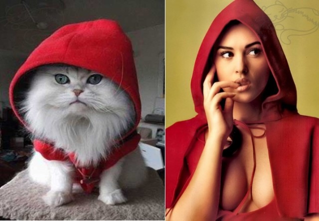 Мужики и котэ