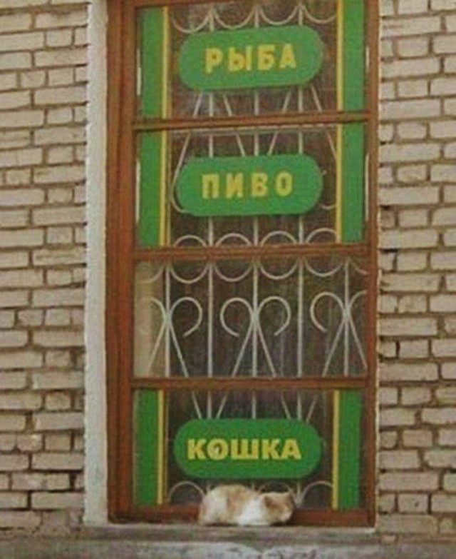 Так себе картинки 27.05.24