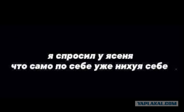 Наскрябыл немного. Часть 4