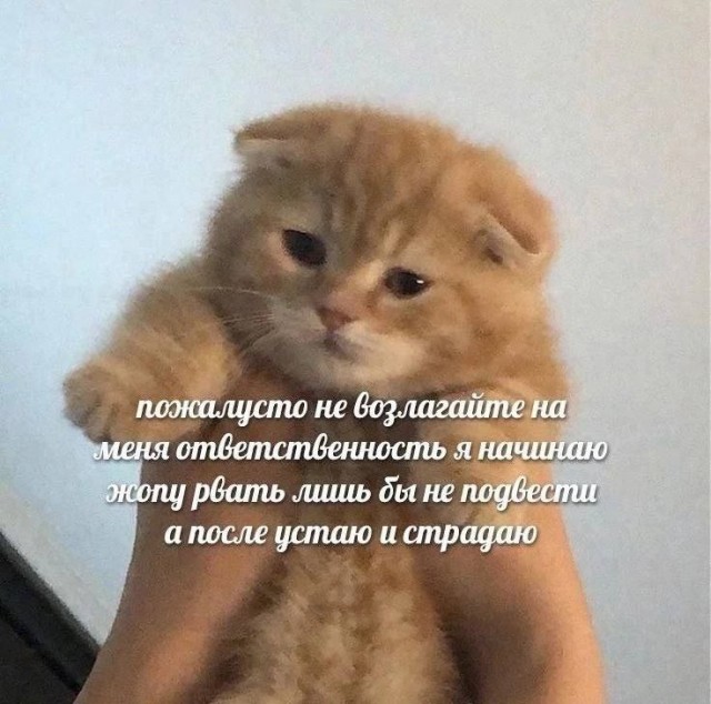 Всего понемногу. От 21.06.2024