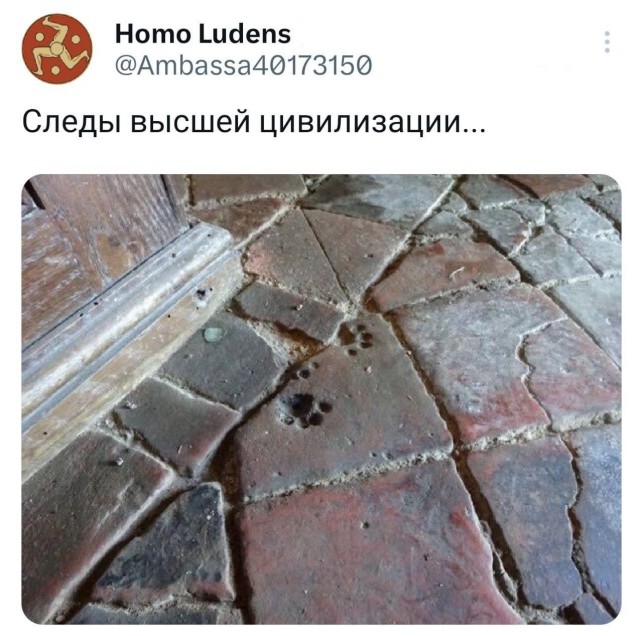 Никакие картинки и тексты