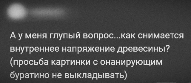 19226609.jpg
