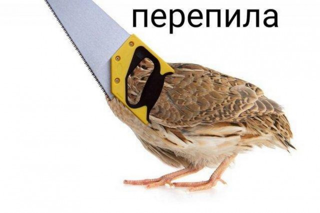 Картинки разные с надписями и без