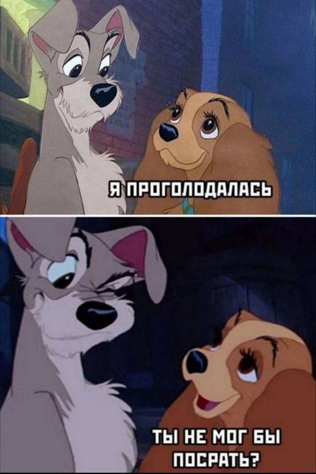Квадроберы. Инсайд
