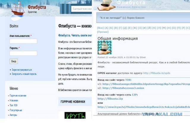 Онлайн-библиотека «Флибуста» продолжит работу