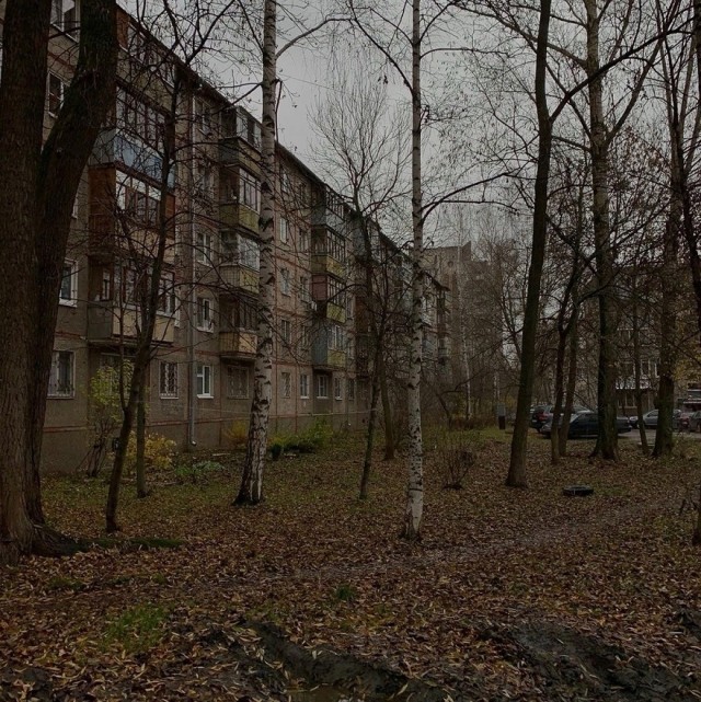 Так себе картинки 30.11.24