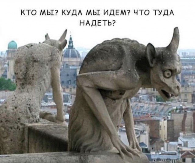 Весёлый полтишок 06.12.24