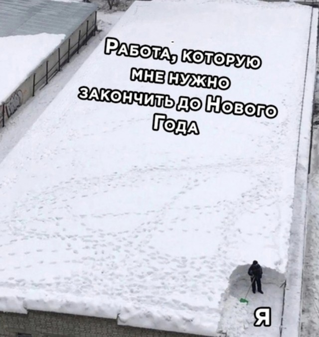 Весёлый полтишок 25.12.24