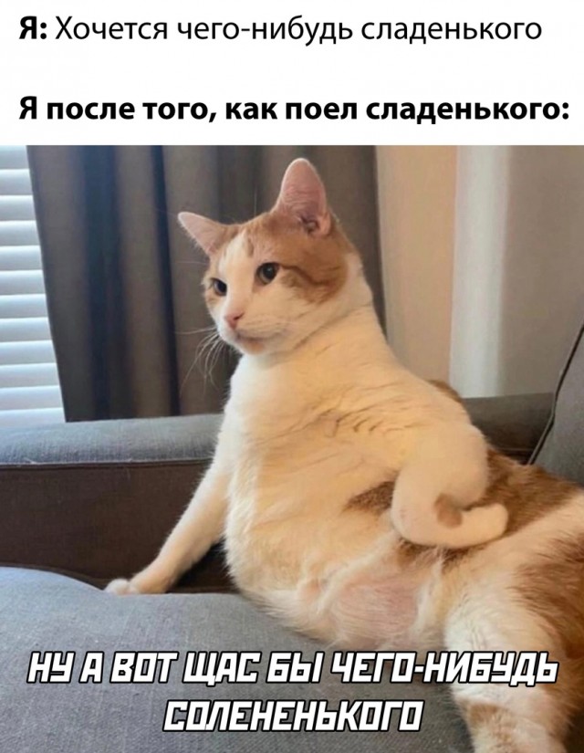 Так себе картинки 11.01.25
