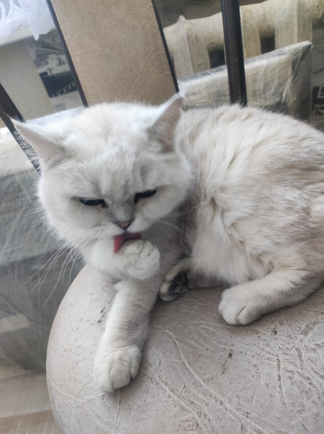 Есть только миг , он называется жизнь.