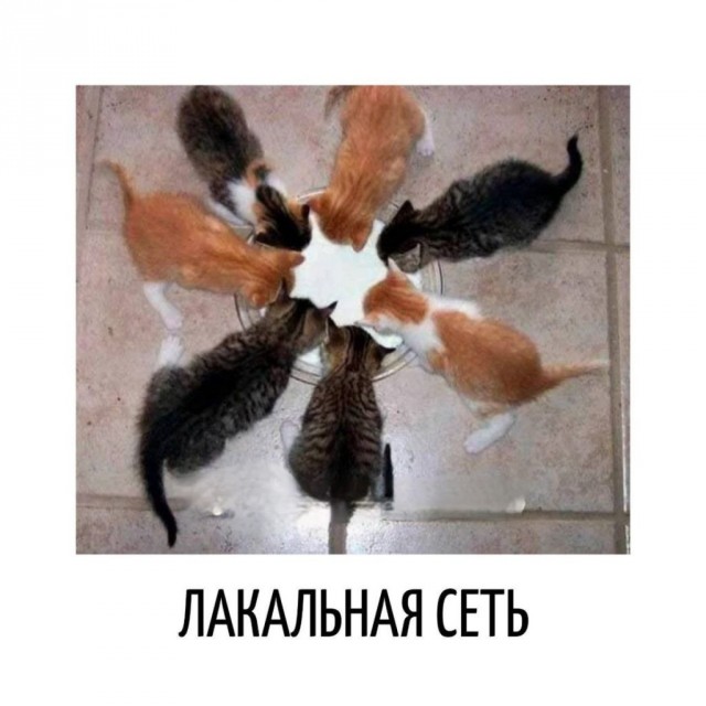 Картинки разные с надписями и без