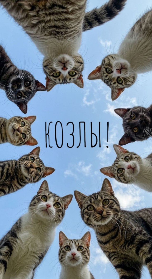 Банда бутовских козлов контролирует свой район