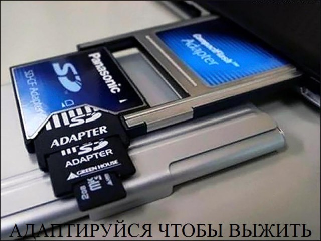 Раскопки архивов картинок.
