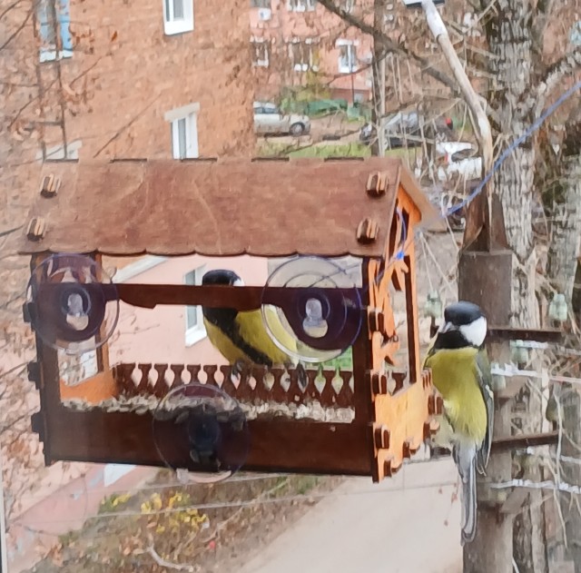 Пора кормить пернатых.