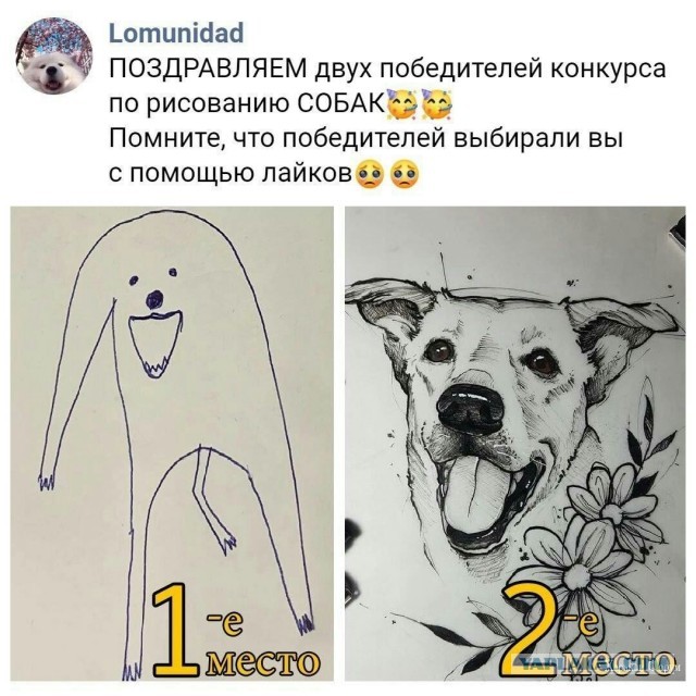 Литконкурс "Очумелые Пёрышки - 25"