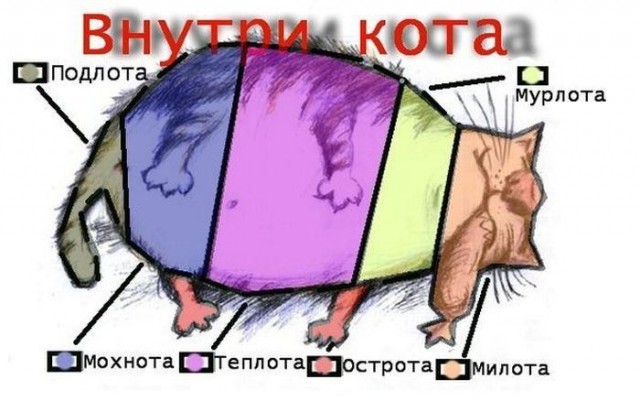 Мелочь усатая