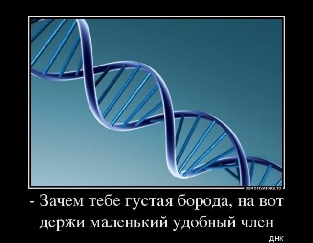 Картиночки, баянчики 04 марта