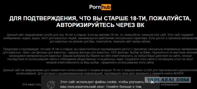 В сети опубликовали обновлённый «Белый список» сайтов и сервисов, которые будут доступны во время ограничения работы интернета