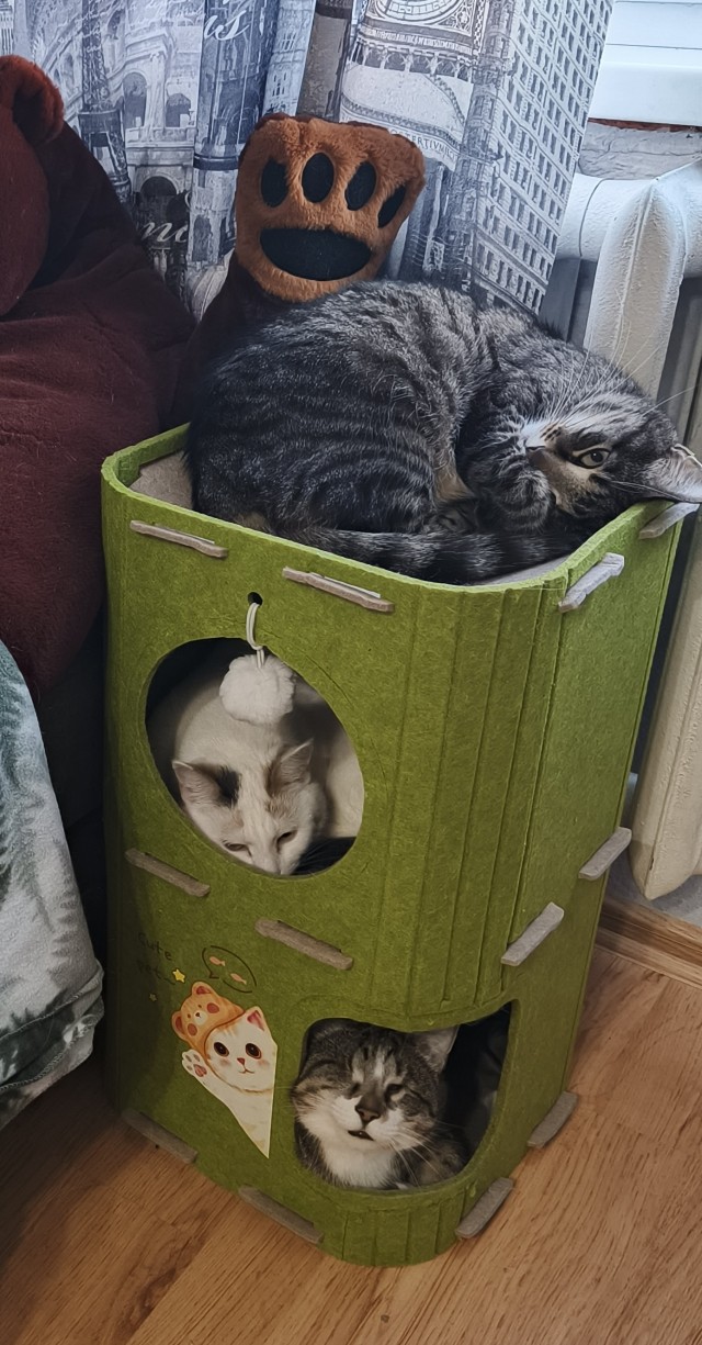 Общага
