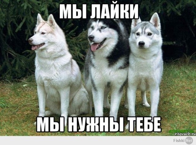 Лайк или не лайк?