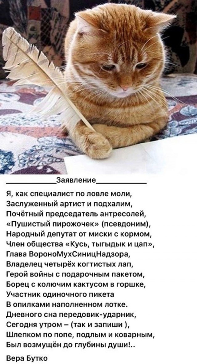 Так себе картинки 01.07.26