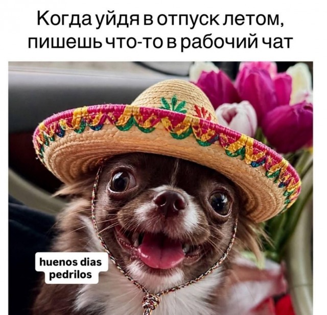 Картинки для деградации 239 (разной степени свежести)