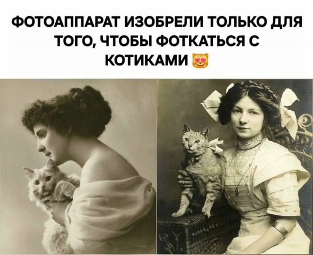 Так себе картинки 20.07.26