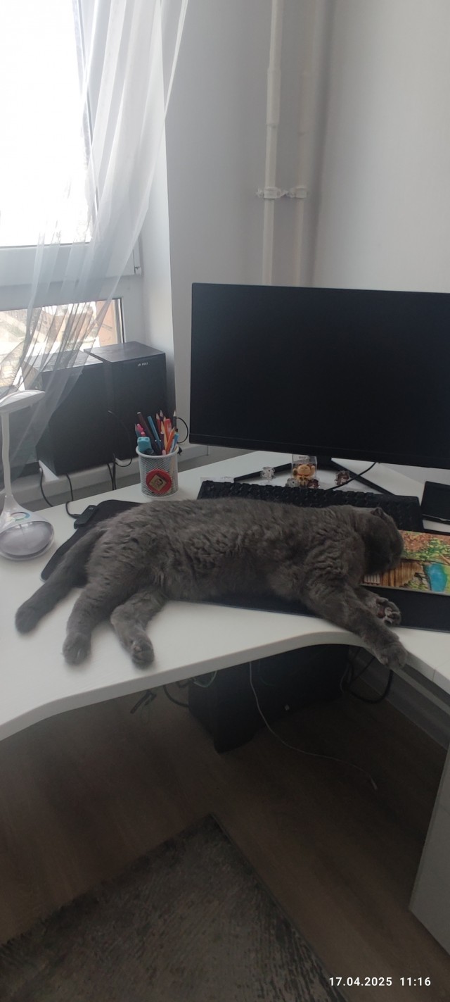 Степана вам в котовторник