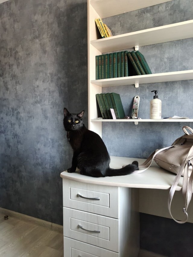 Фотки красивого кота.