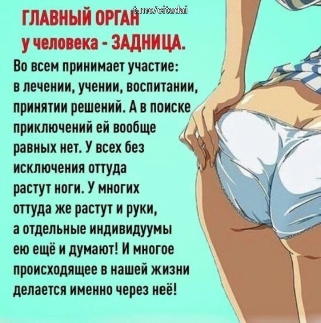 Врач-колопроктолог про анальный секс