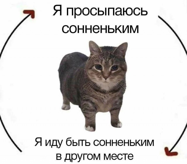 Психомемы-13