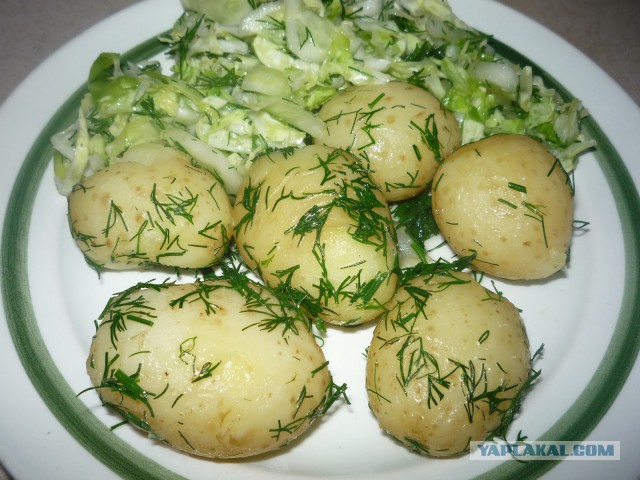 Самая популярная и любимая нами еда