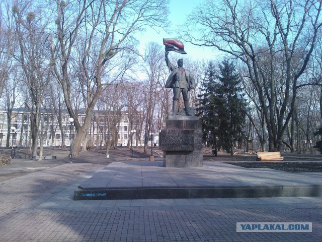 Мариинский парк и ул. Грушевского 26.02.14