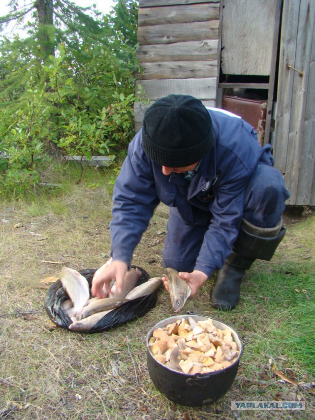 Север далекий, суровый и красивый