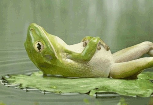 Когда вы плюсуeтe тему в платине