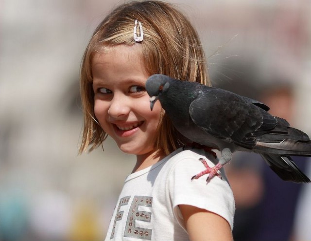 По-моему птичке звездец пришел