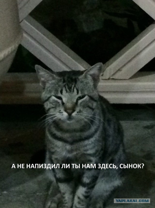 Это полный писец!