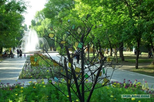 Задолбала политика!