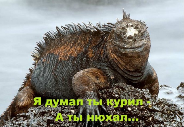 Твои родители думают, что ты...