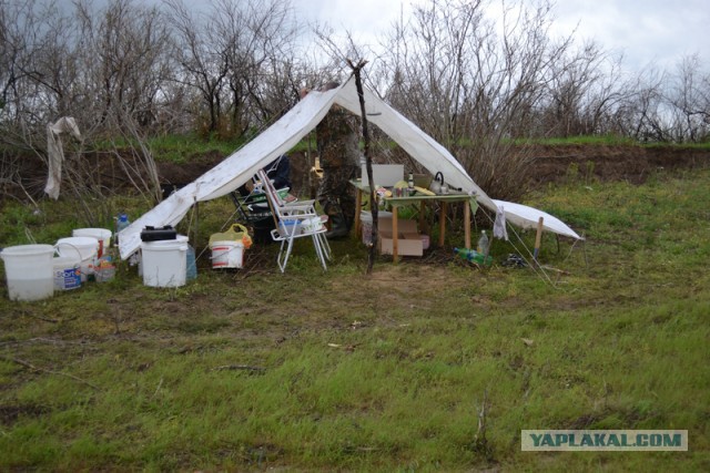 Рыбалка на воблу