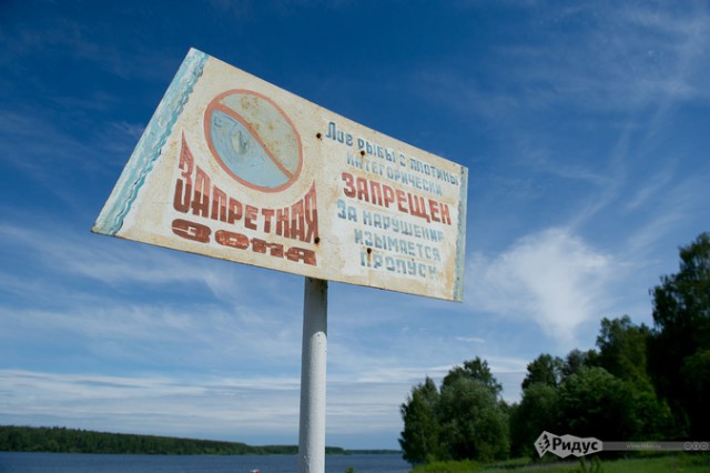 Учинское водохранилище кишит рыбой