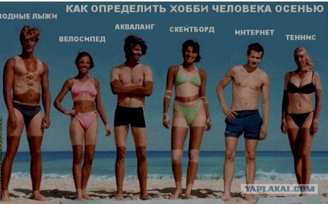Так выглядит окученная картошка
