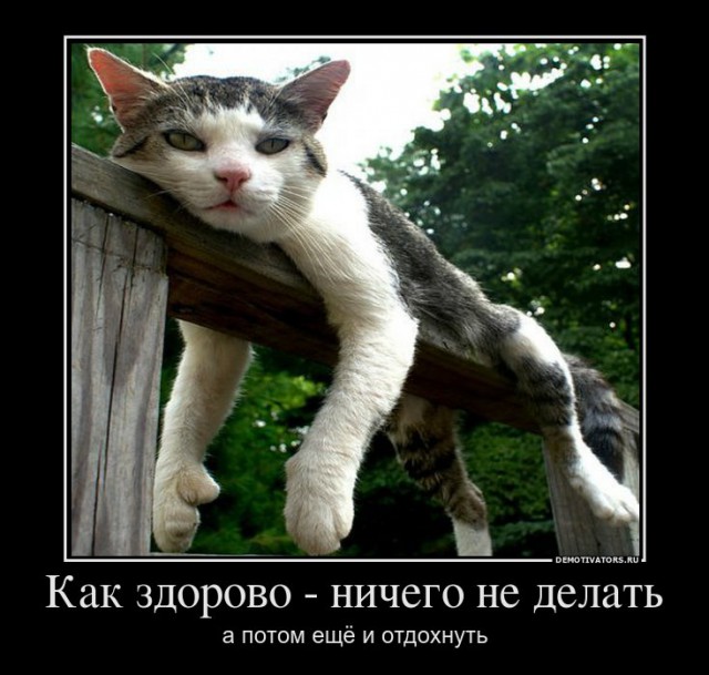 Вы хотите "демов"?