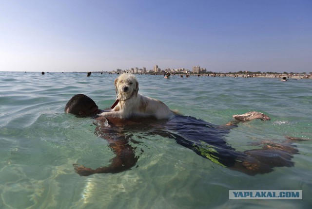 Добрые фотографии 2015