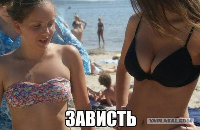 Так выглядит черная зависть