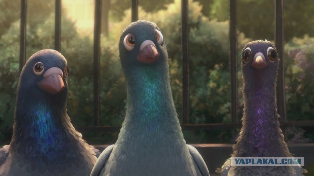 Птиц засасывает вместе с зерном на хлебозаводе